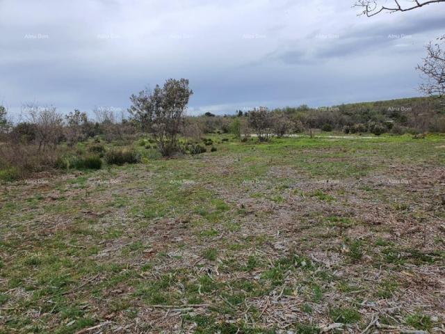 Landwirtschaftsgrundstück Verkauf von landwirtschaftlichen Flächen, Marčana