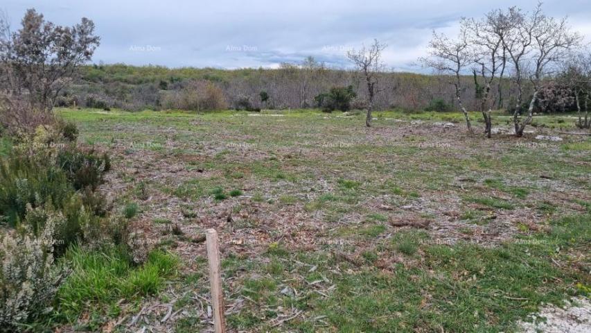 Landwirtschaftsgrundstück Verkauf von landwirtschaftlichen Flächen, Marčana