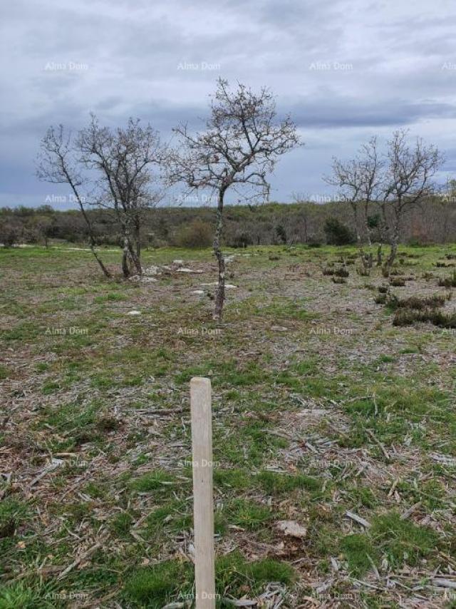 Landwirtschaftsgrundstück Verkauf von landwirtschaftlichen Flächen, Marčana