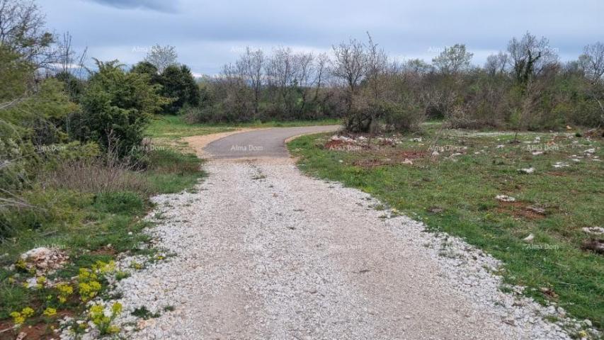 Landwirtschaftsgrundstück Verkauf von landwirtschaftlichen Flächen, Marčana