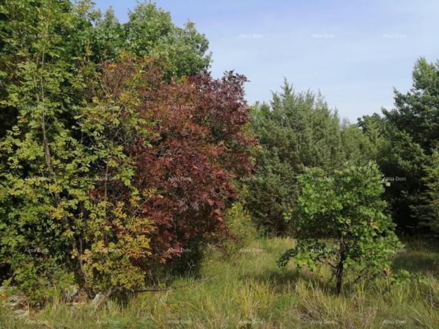 Landwirtschaftsgrundstück Bibići Agrarland zu verkaufen