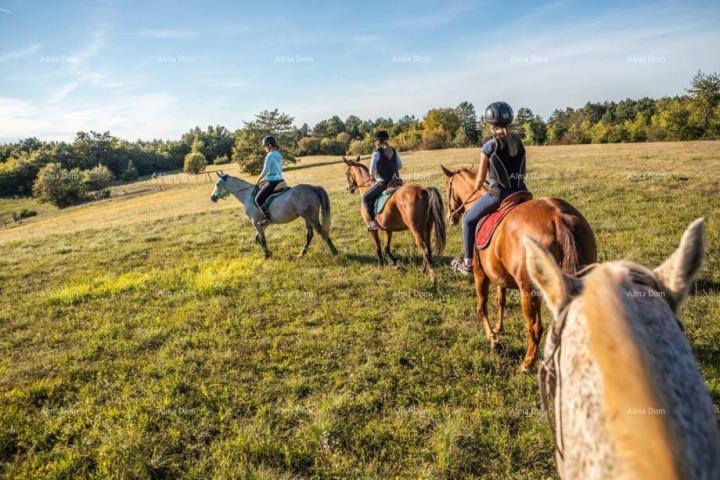 Landwirtschaftsgrundstück Bibići Agrarland zu verkaufen