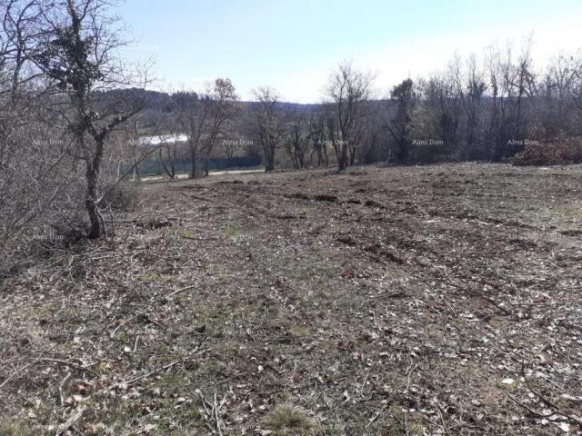 Landwirtschaftsgrundstück Wochenendplot, Mugeba