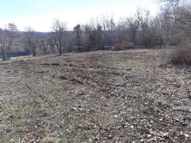 Landwirtschaftsgrundstück Wochenendplot, Mugeba