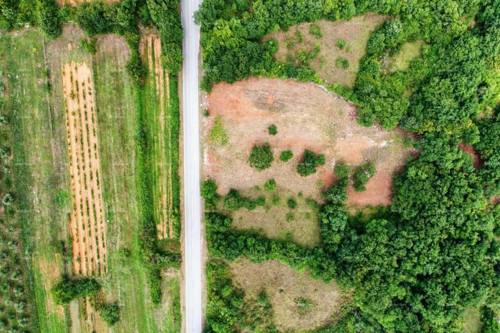 Bauland Top Land in der Nähe von Barban