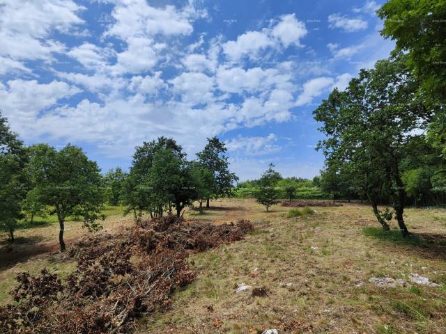 Bauland Top Land in der Nähe von Barban