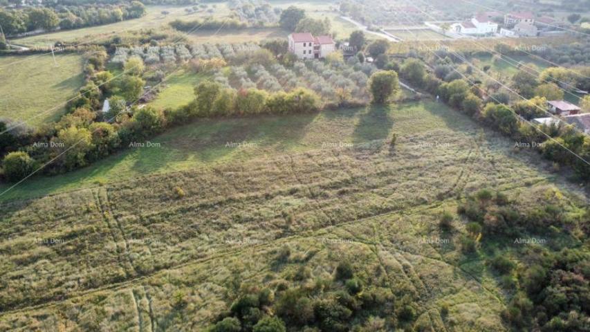 Agricultural land