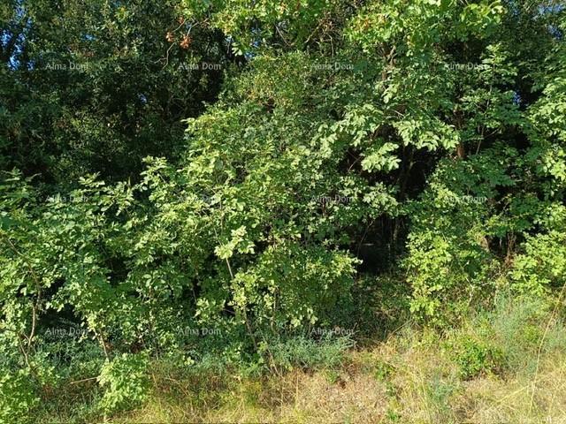 Bauland Baugrundstück in attraktiver Lage 1 km vom Meer entfernt.