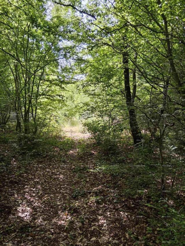 Poljoprivredno zemljište Prodaja poljoprivrednog zemljište, Štokovci