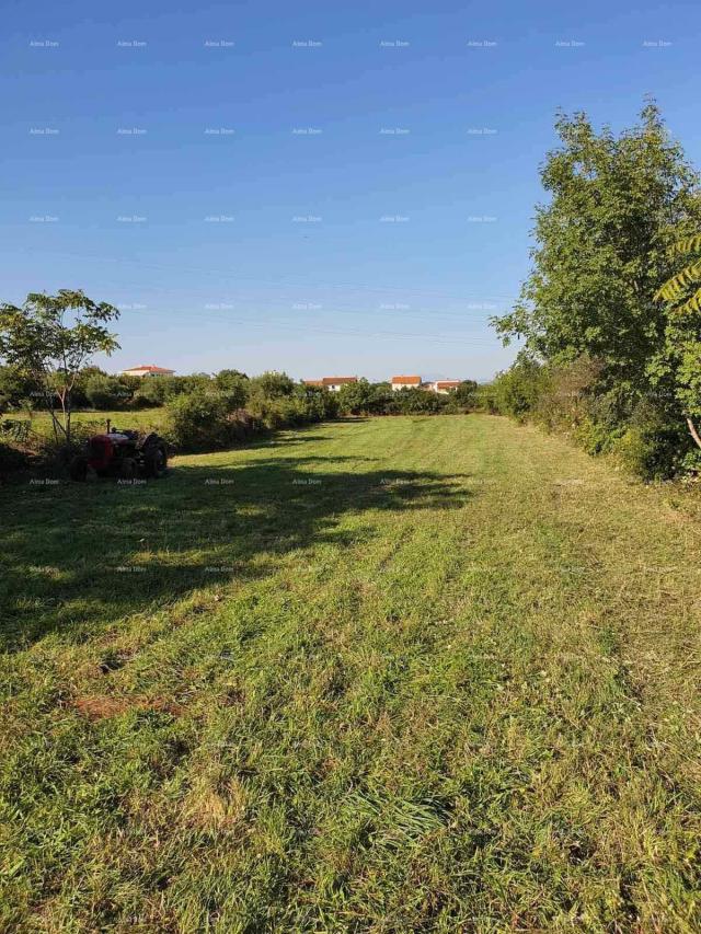 Poljoprivredno zemljište Prodaja poljoprivrednog zemljište, Krnica