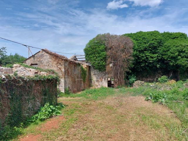 House Three Ruined Houses near Oprtalj!