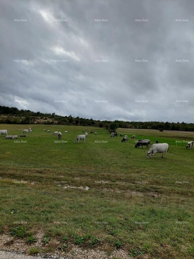 Kuća Prodaje se stara kuća