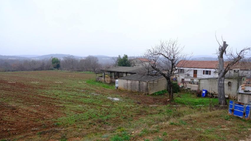 Kuća