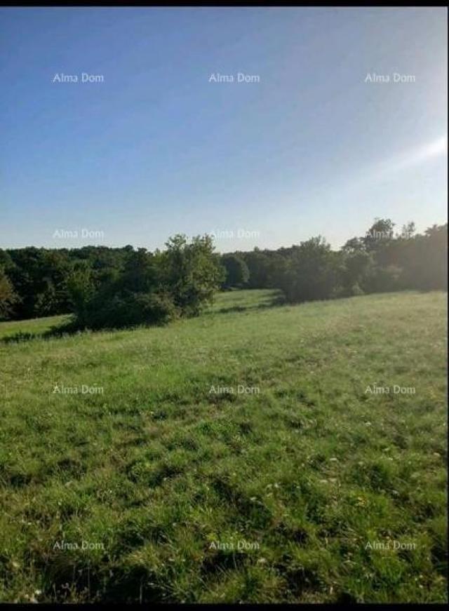 Building land Building land for sale near Pazin