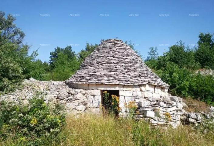 Poljoprivredno zemljište Odlično zemljište sa 30 stabala maslina!