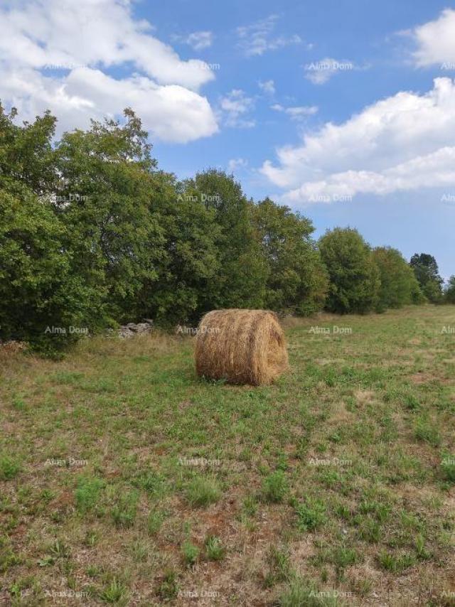 Građevinsko zemljište Građevinsko zemljište, Filipana. 