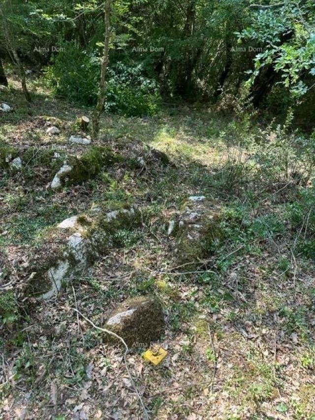 Poljoprivredno zemljište Prodajem poljoprivredno zemljište ( šuma ) 7 km od Poreča