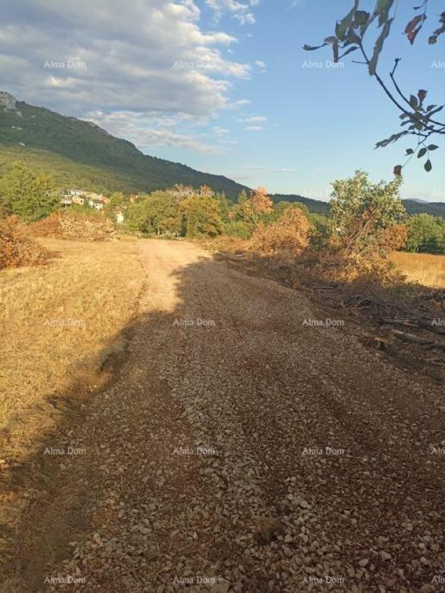 Građevinsko zemljište Prodaja građevinskog zemljišta, površine od 1374 m2, Buzet!