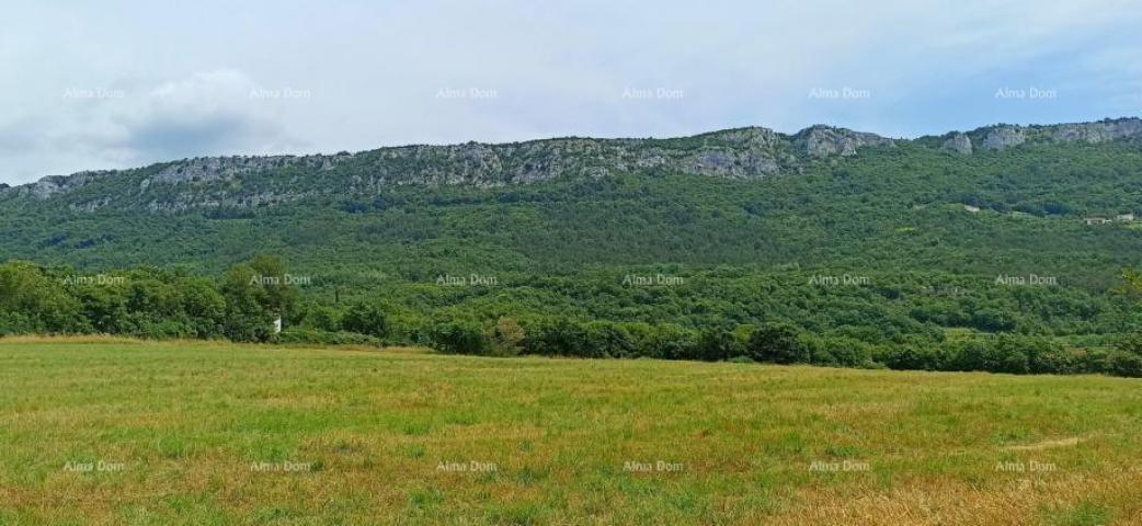 Građevinsko zemljište Prodaja građevinskog zemljišta, površine od 1374 m2, Buzet!