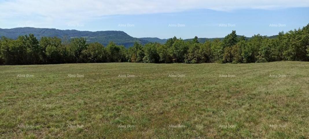 Građevinsko zemljište Prodaja građevinskog zemljišta, površine od 1374 m2, Buzet!