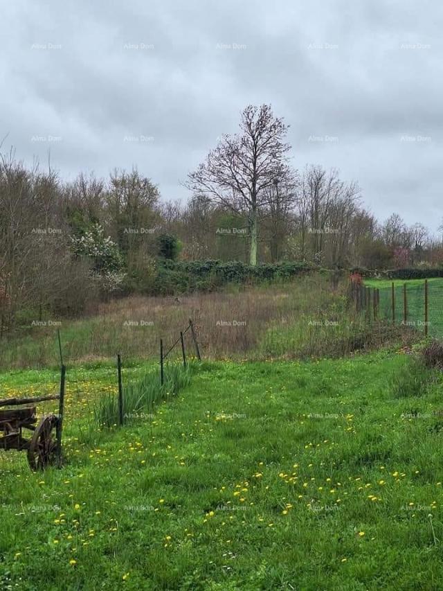 Bauland Bau- und Agrarland zum Verkauf, in der Nähe von Žminj