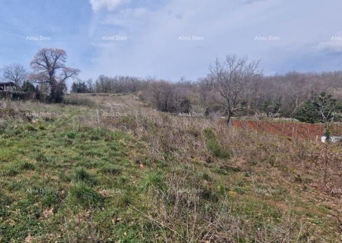 Bauland Bauland zum Verkauf, Pazin