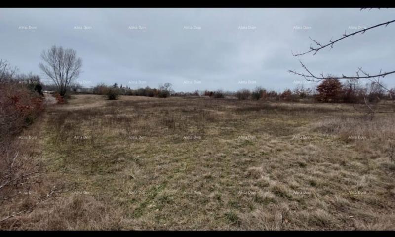 Building land Land for sale, Žminj