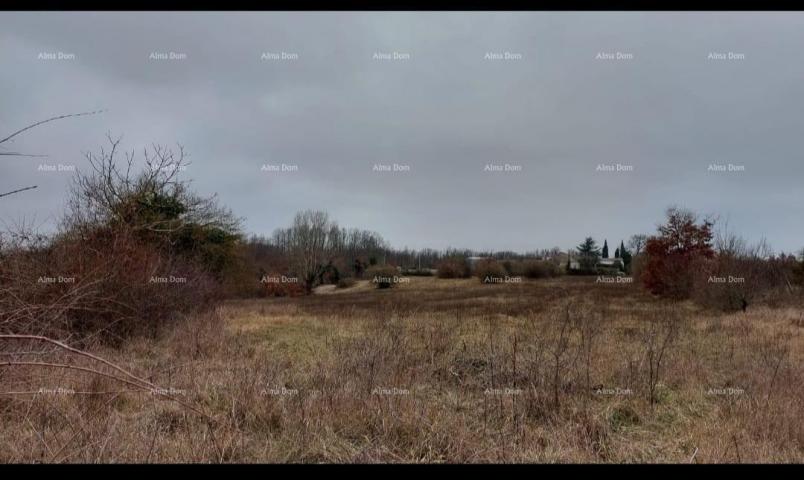 Building land Land for sale, Žminj