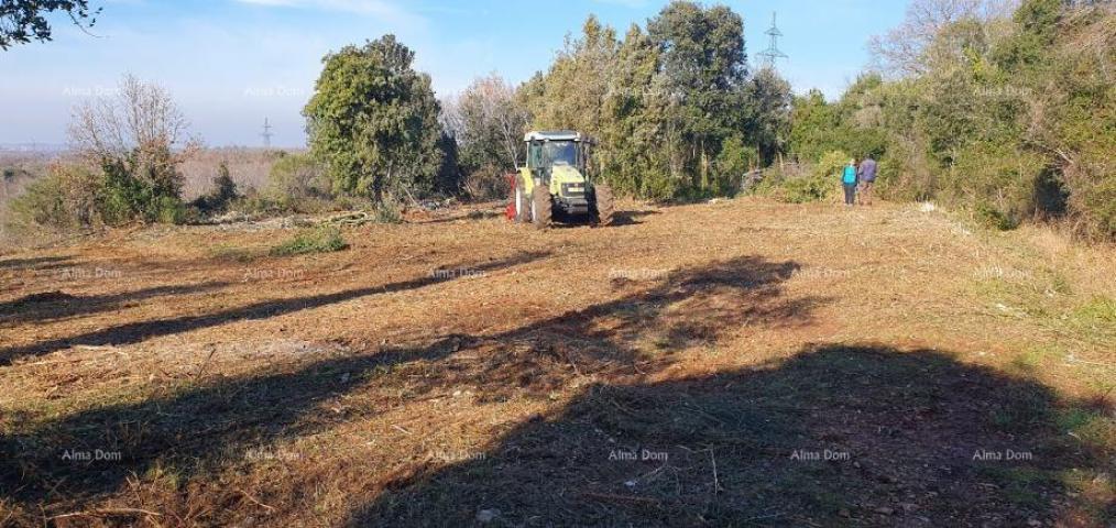 Agricultural land Agricultural land for sale, Ližnjan