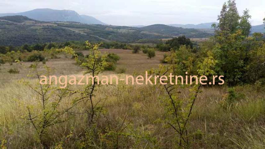 Boljevac – Vrbovac 12ha 58a 33kvm – 70eur/ar ID#19619