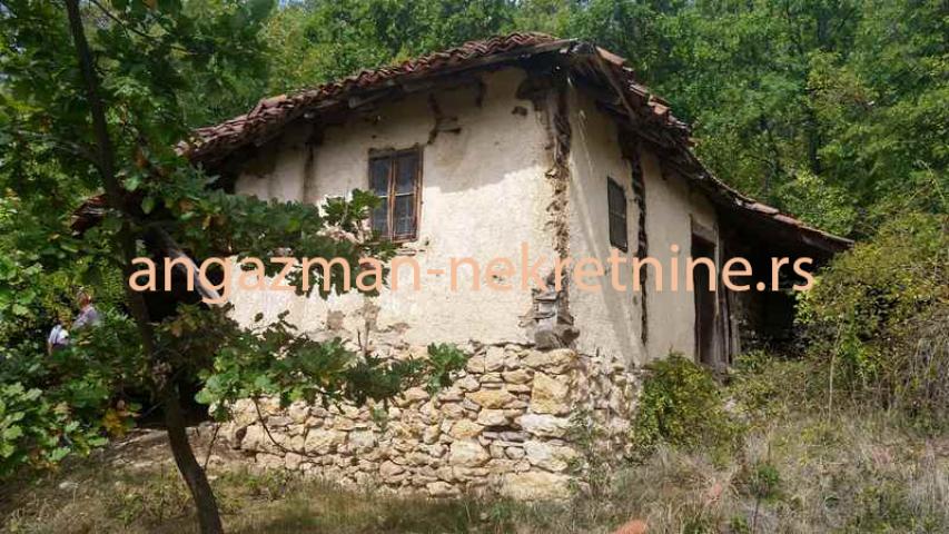 Boljevac – Vrbovac 12ha 58a 33kvm – 70eur/ar ID#19619