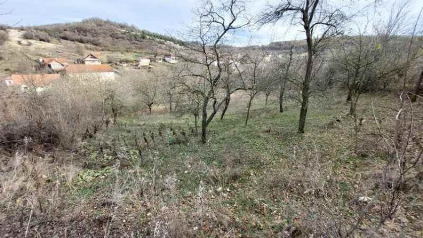 Boljevac, Rtanj – Mali izvor 30kvm + 1ha 14a 62kvm ID#23594