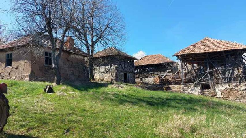 Zaječar – Lasovo imanje sa kućom – 5ha 64a 37kvm ID#24107