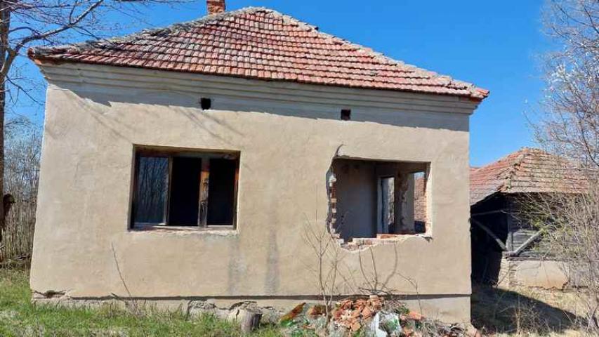 Zaječar – Lasovo imanje sa kućom – 5ha 64a 37kvm ID#24107