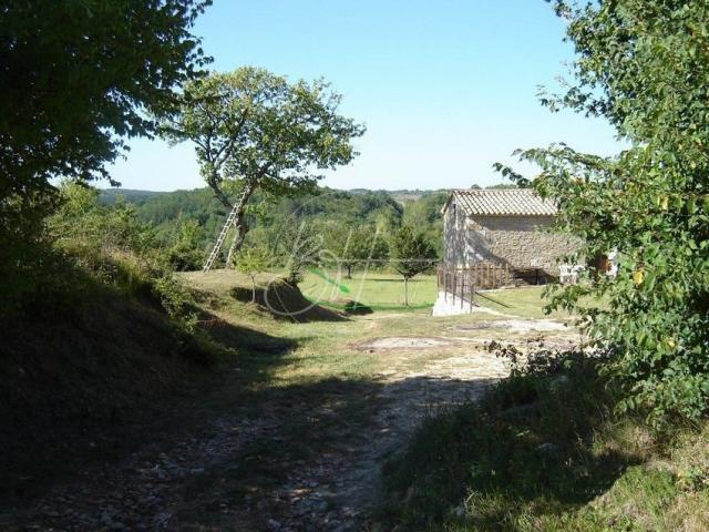 Grundstück Poreč, 16.637m2