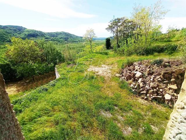 House Motovun, 230m2