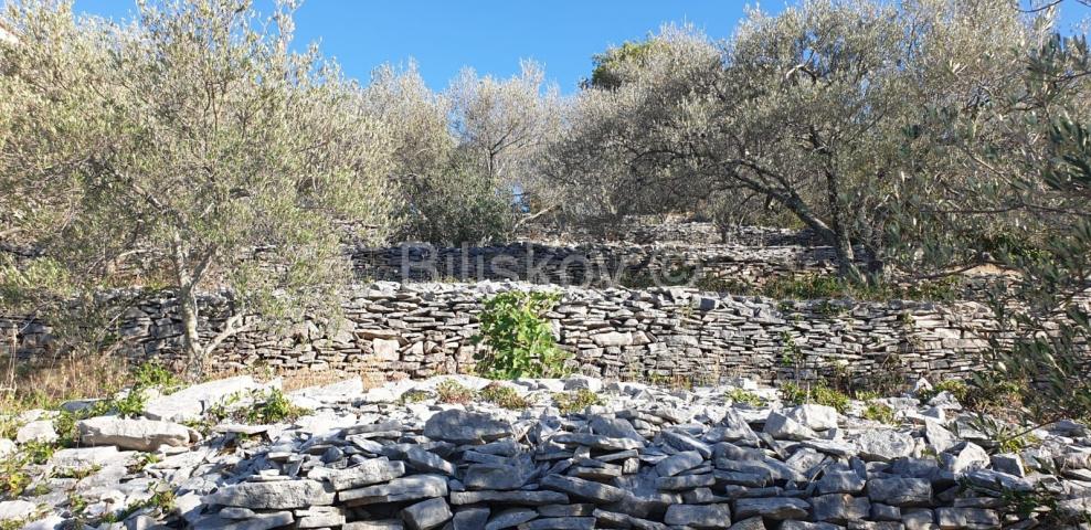 Korčula, Vela Luka, prodaja zemljišta 1. red