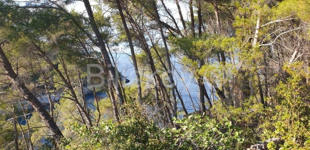 Korčula, Vela Luka, prodaja zemljišta 1. red