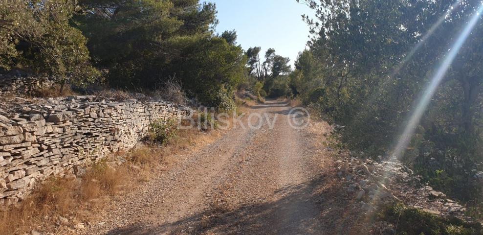 Korčula, Vela Luka, prodaja zemljišta 1. red