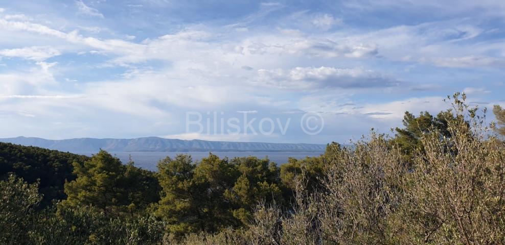 Korčula, Vela Luka, prodaja zemljišta 1. red