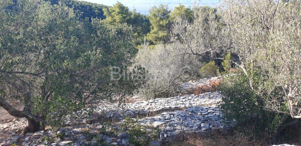 Korčula, Vela Luka, prodaja zemljišta 1. red