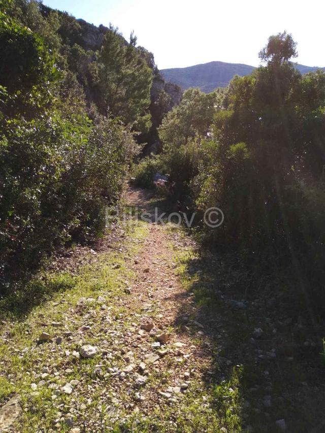 Pelješac, prodaja poljoprivredno zemljište 10897m2 uz plažu