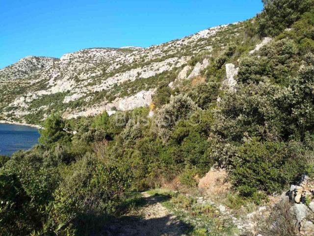 Pelješac, prodaja poljoprivredno zemljište 10897m2 uz plažu