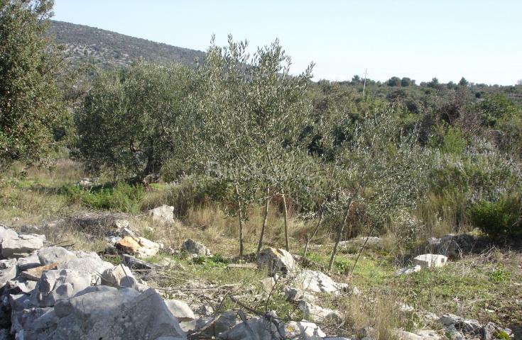 Prodaja, Drvenik Veliki, kuće u ruševnom stanju