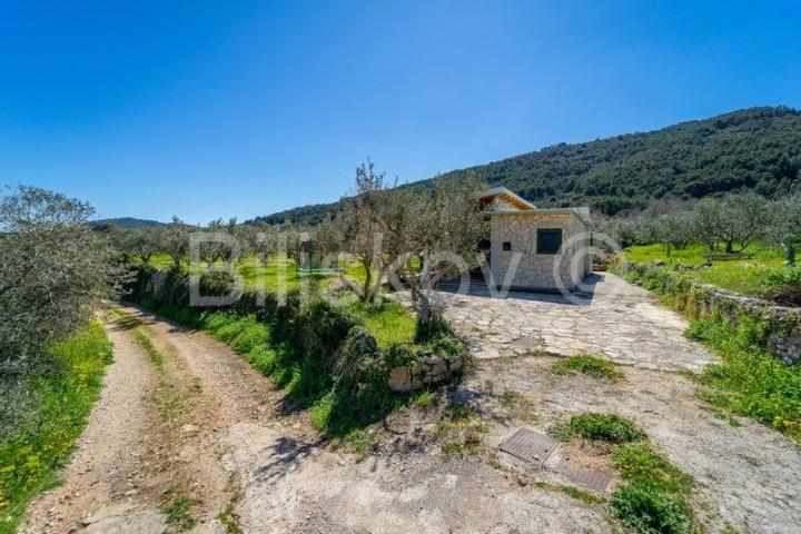 Stari Grad,  kuća 51 m2 sa maslinikom 2300 m2