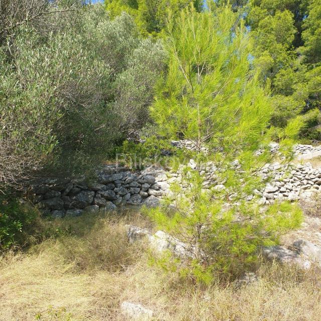 Vela Luka, prodaja poljoprivredno zemljište 10756m2