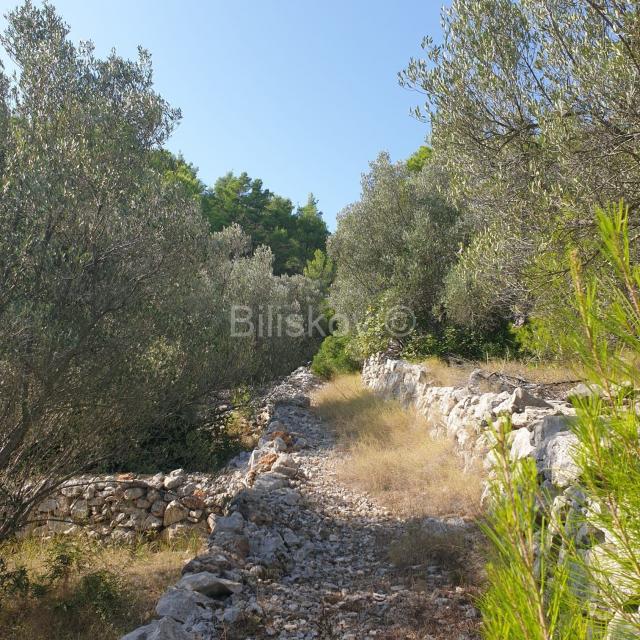 Vela Luka, prodaja poljoprivredno zemljište 10756m2