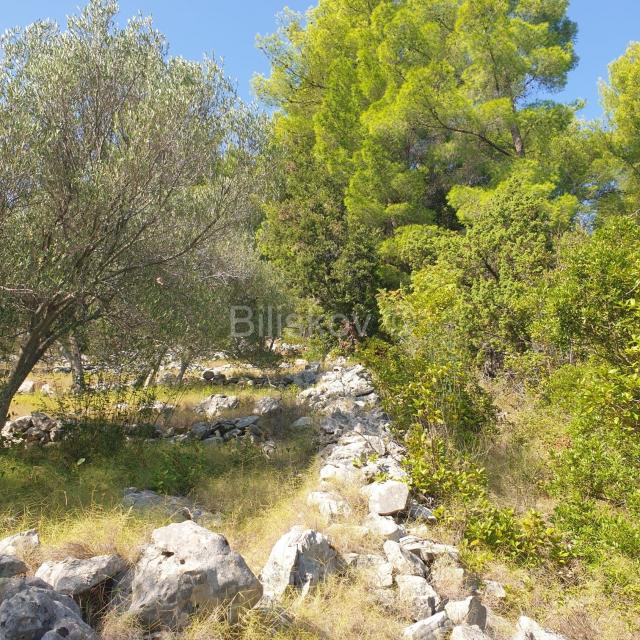 Vela Luka, prodaja poljoprivredno zemljište 10756m2