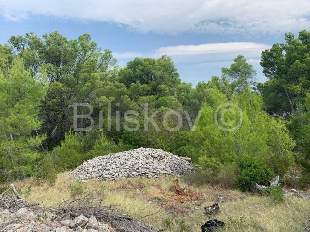 Otok Brač, Mirca - poljoprivredno zemljište