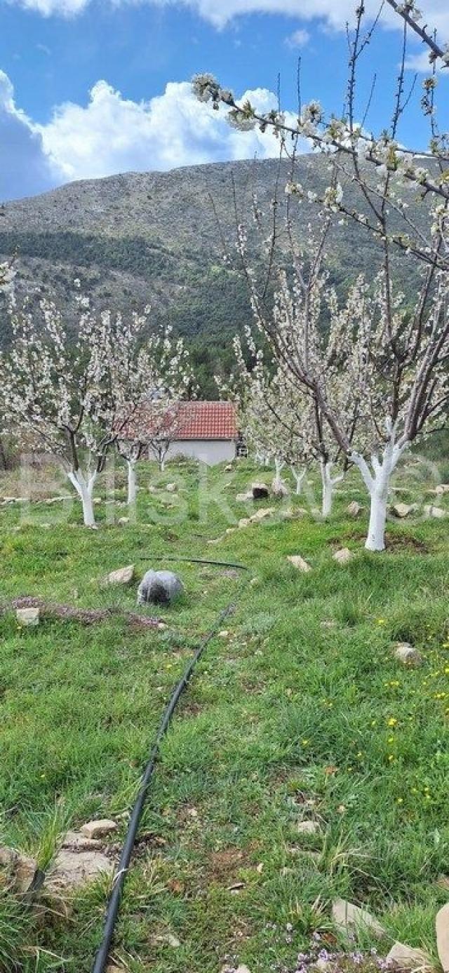 Tugare, građevinska parcela s velikim voćnjakom